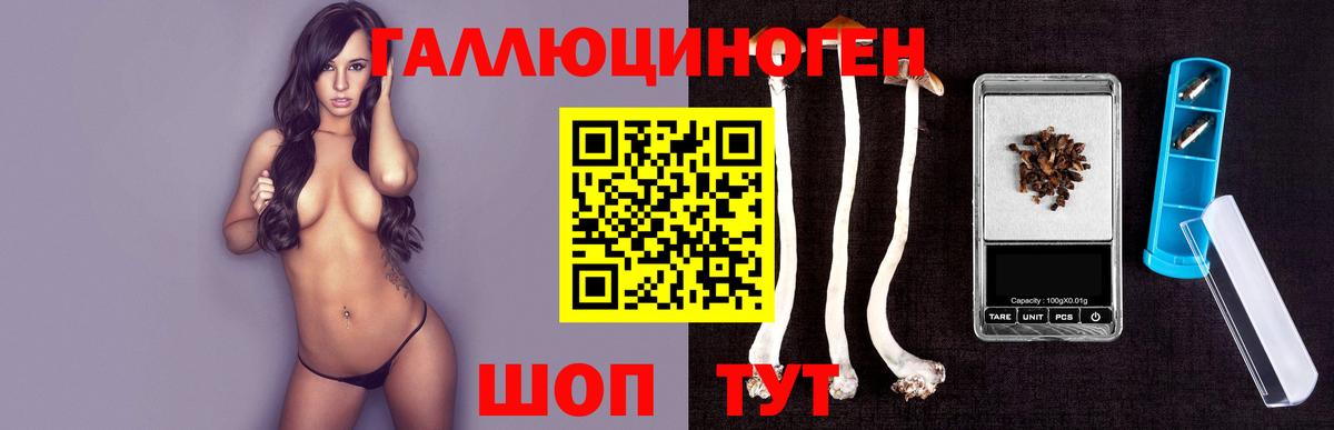 Галлюциногенные грибы мицелий  Галлюциногенные грибы MAGIC MUSHROOMS  Вход с VPN  сколько стоит  Йошкар-Ола 